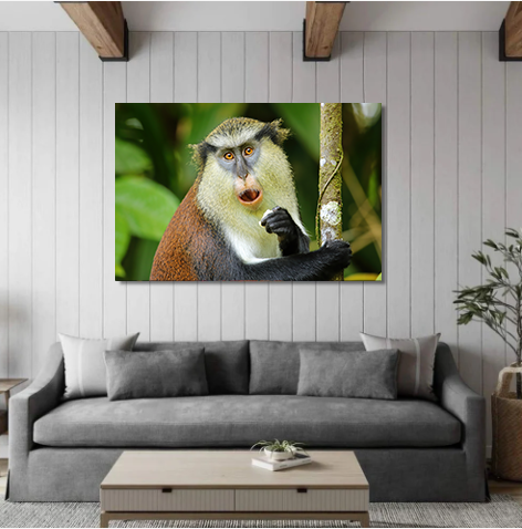 Mona Monkey