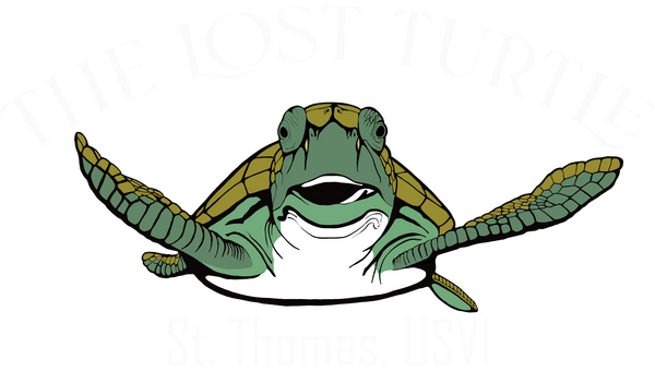 The Lost Turtle